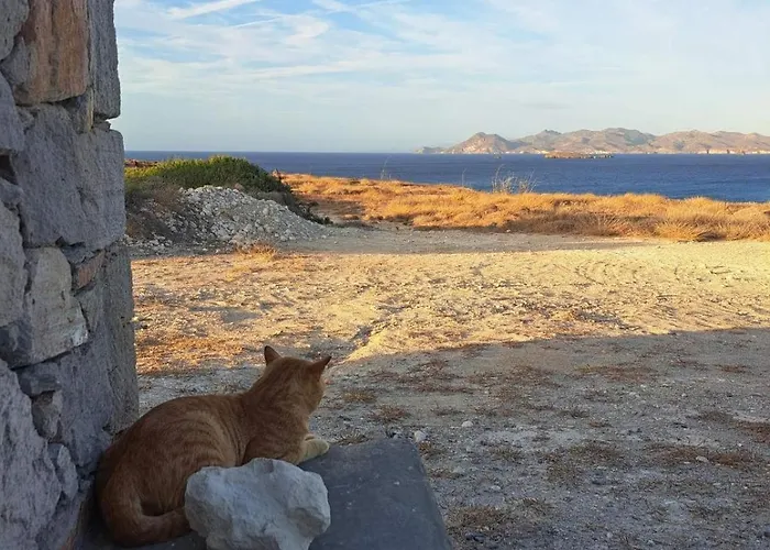 Amatonostro * Mandrákia